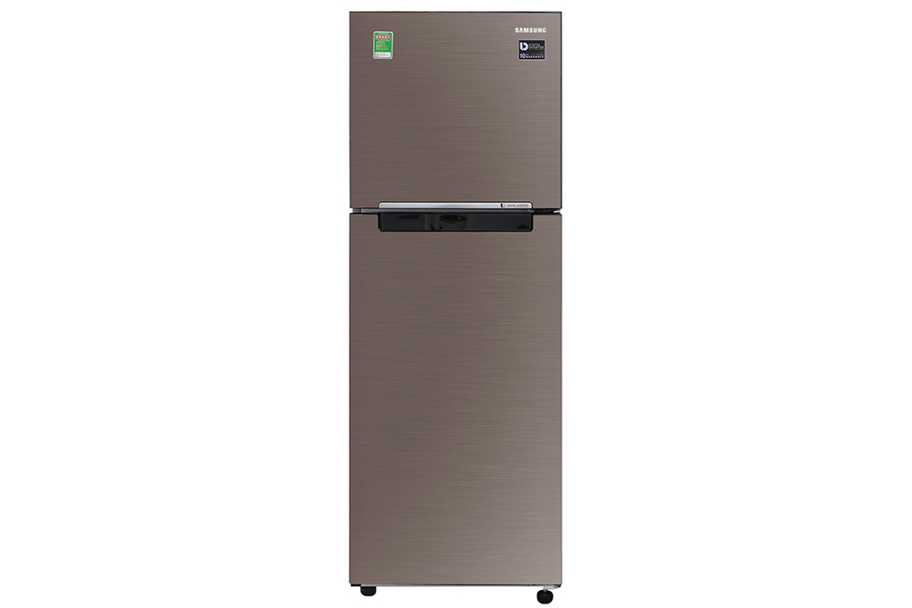 Tủ lạnh Samsung Inverter 236 lít RT22M4040DX/SV - Chính hãng