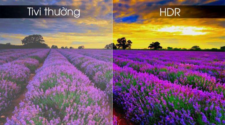 Công nghệ HDR mang đến độ tương phản cao, màu sắc nổi bật hơn