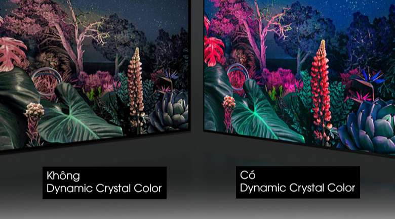 Smart Tivi Led Samsung 4K 43 inch UA43AU9000 - Choáng ngợp trước bữa tiệc sắc màu sống động qua công nghệ Dynamic Crystal Color
