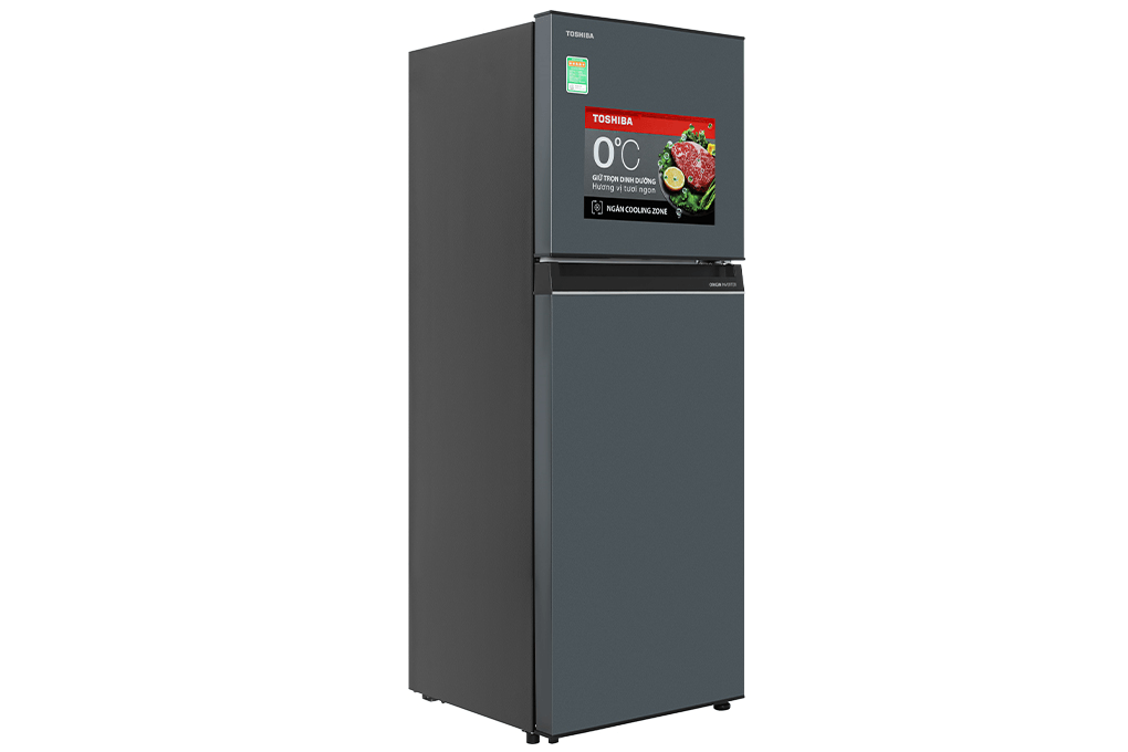 Tủ lạnh Toshiba Inverter 253 lít GR-RT329WE-PMV(52) - Chính hãng1